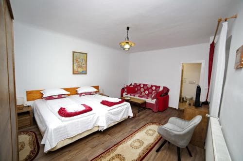 Guesthouse Casa Baciu
