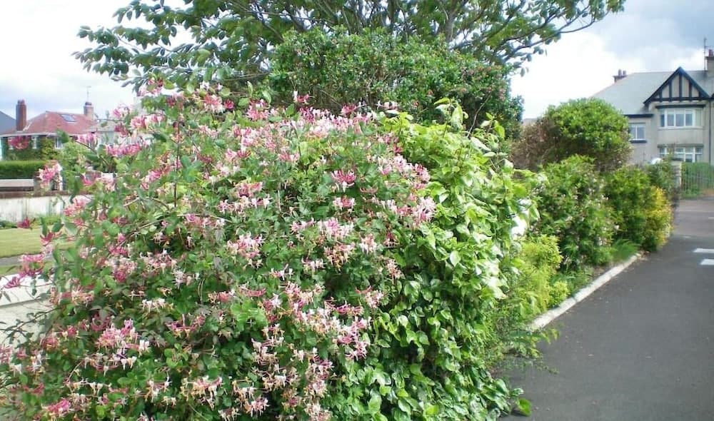 Aaranmore Lodge Bed & Breakfast