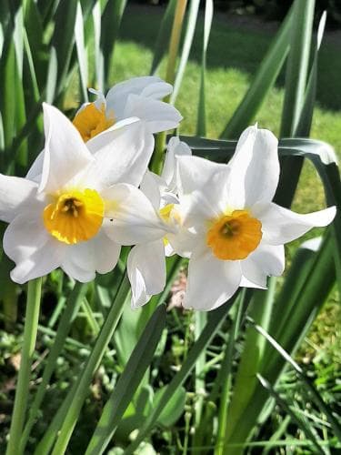 Bunratty Haven B&B