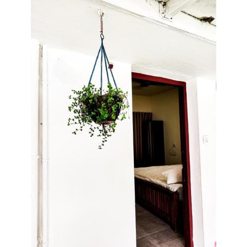 Nature Villa