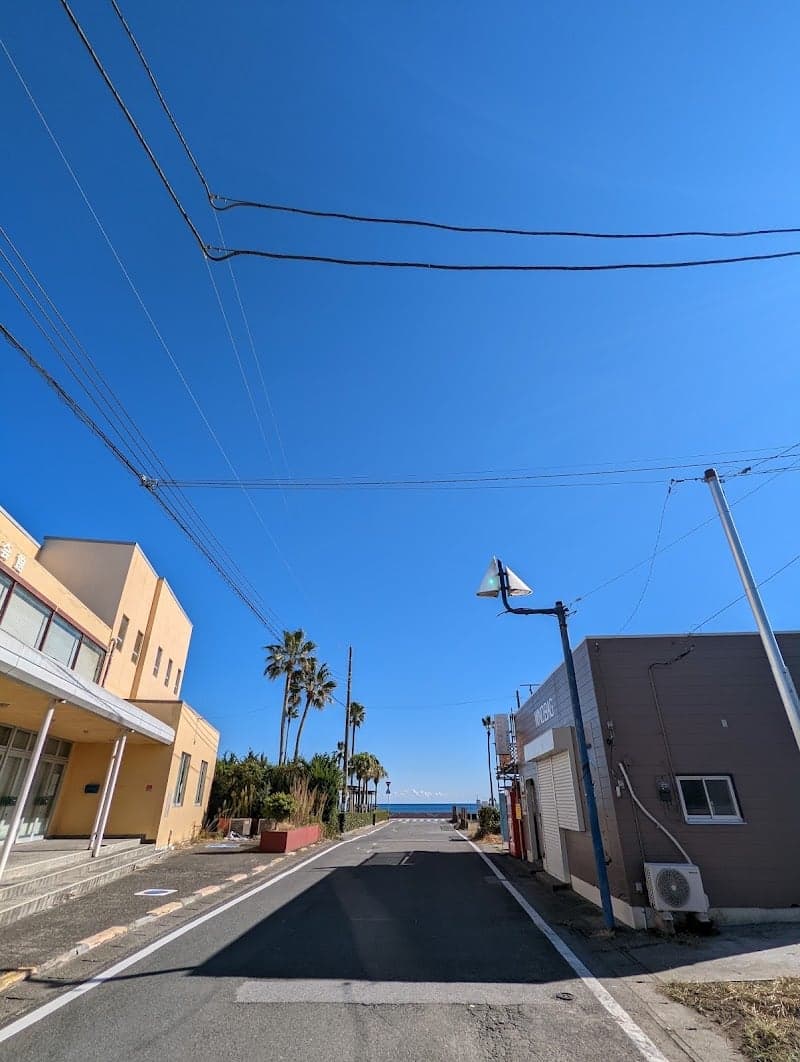 A serene coastal street in Kamogawa, Chiba, Japan, features palm trees, clear blue skies, and quaint buildings, ideal for a relaxing seaside getaway.