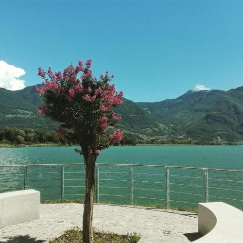 Villa Palma Bed & Breakfast