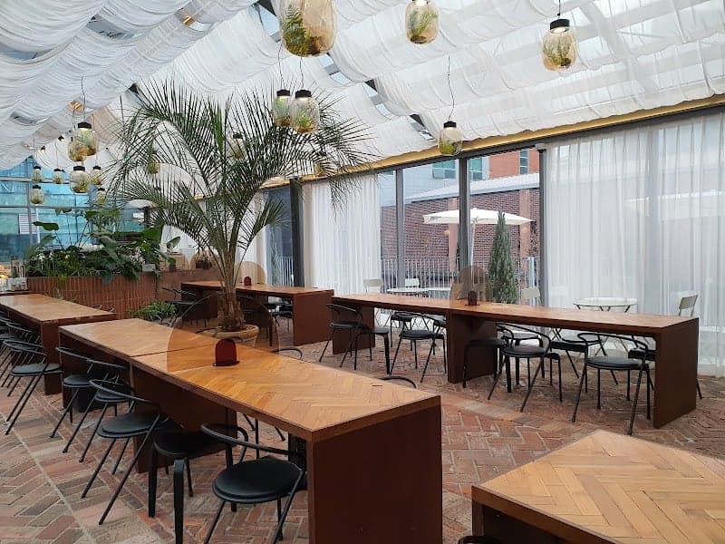 A serene café in Seoul, South Korea, features wooden tables, black chairs, lush plants, and hanging glass jars under a draped ceiling, ideal for travelers seeking a cozy spot for work or relaxation.