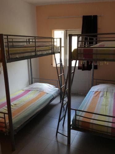 Iguana Hostel