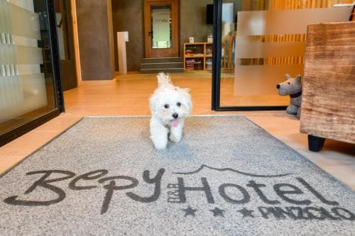 Hotel Bepy