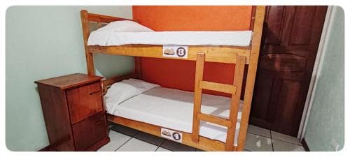 Hostel Sloth Backpackers B&b