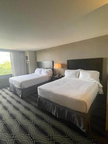 The Hotel ML