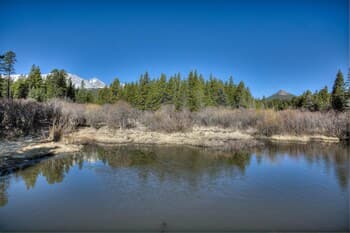 Moose Hollow