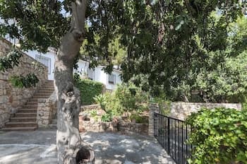 A serene courtyard shaded by lush trees features stone walls, stairs, and greenery, ideal for a tranquil retreat or vacation rental setting.