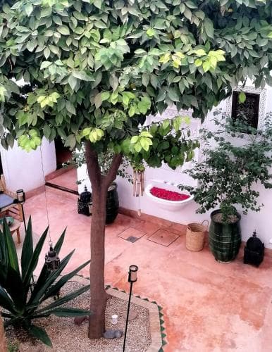 Riad Dar Nouba