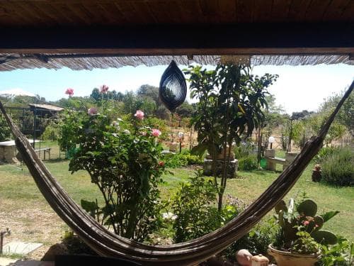Lemontree Garden