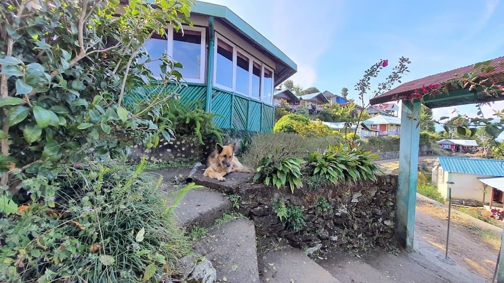 Himalaya Eagle Resort Kalimpong