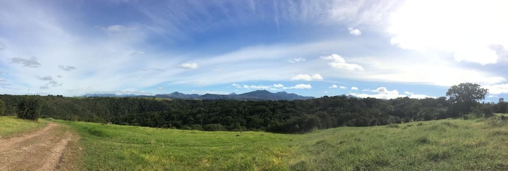 Teniqua Treetops