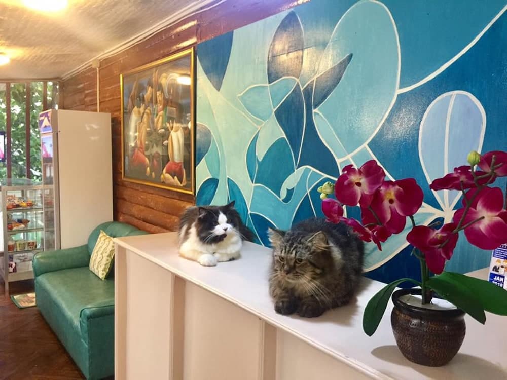 Ace Travellers Inn