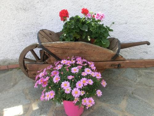 B&B La Palma