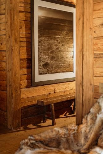Chalet 1864
