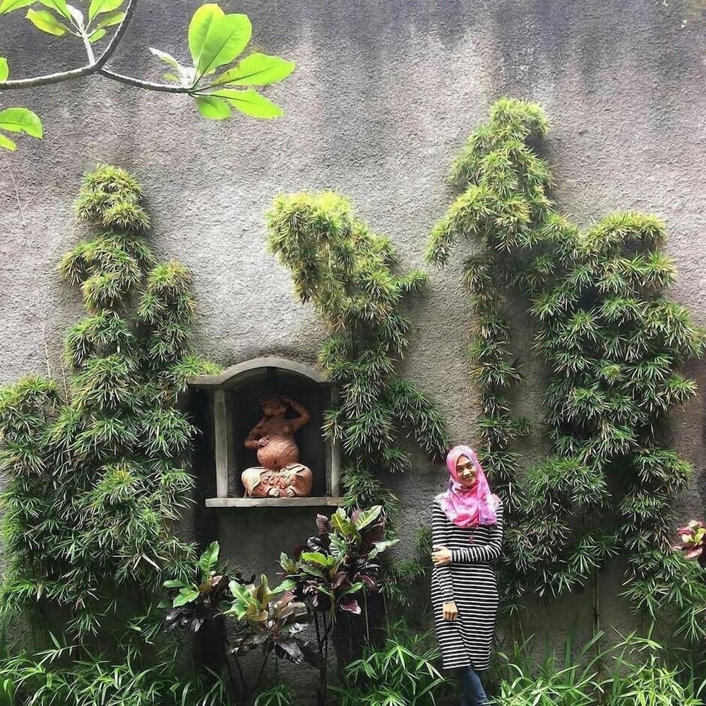 D Fresh Guesthouse