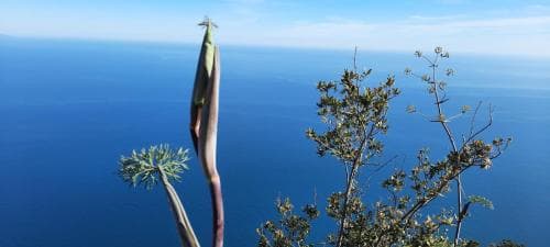 B&b Mare E Monti