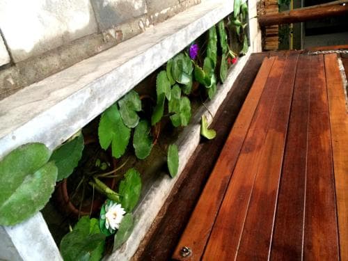 A serene patio scene features a wooden deck beside a tranquil water feature adorned with lily pads and flowers, ideal for relaxing getaways or garden retreats.