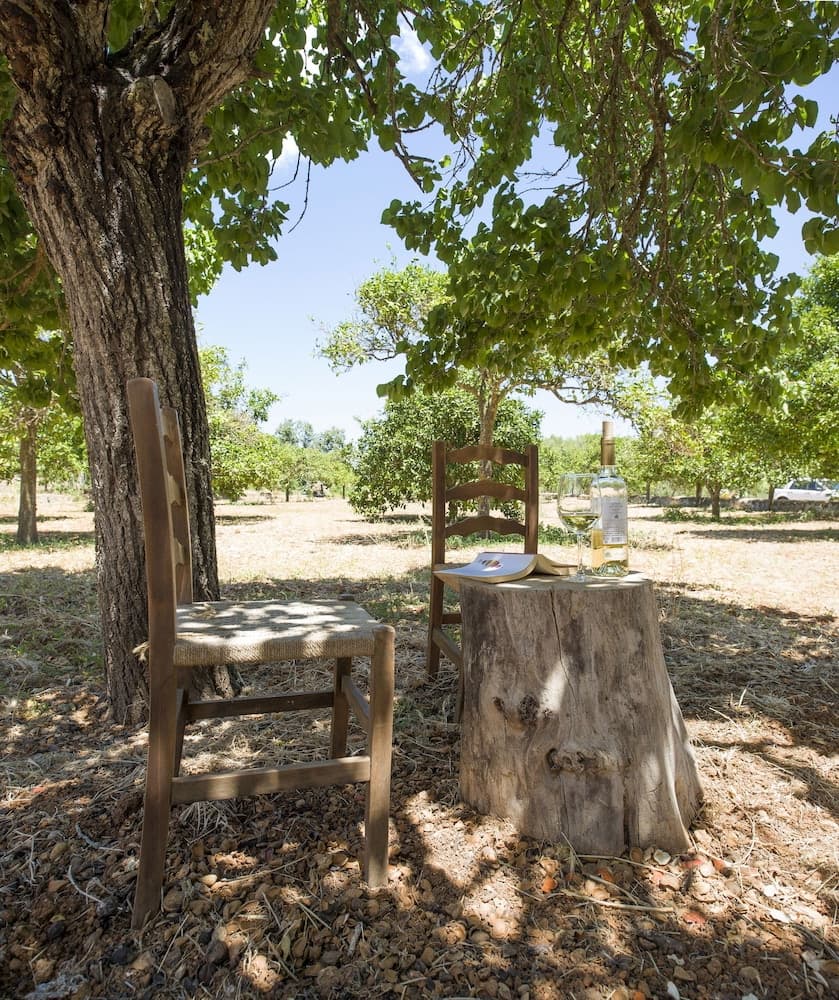 Villa Can Cama