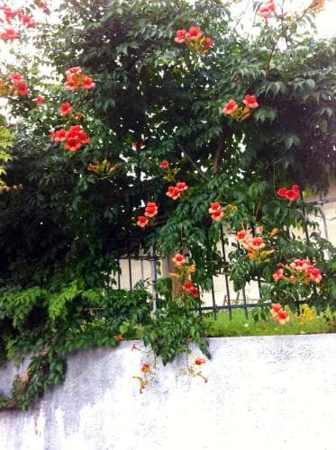 Hotel San Francesco