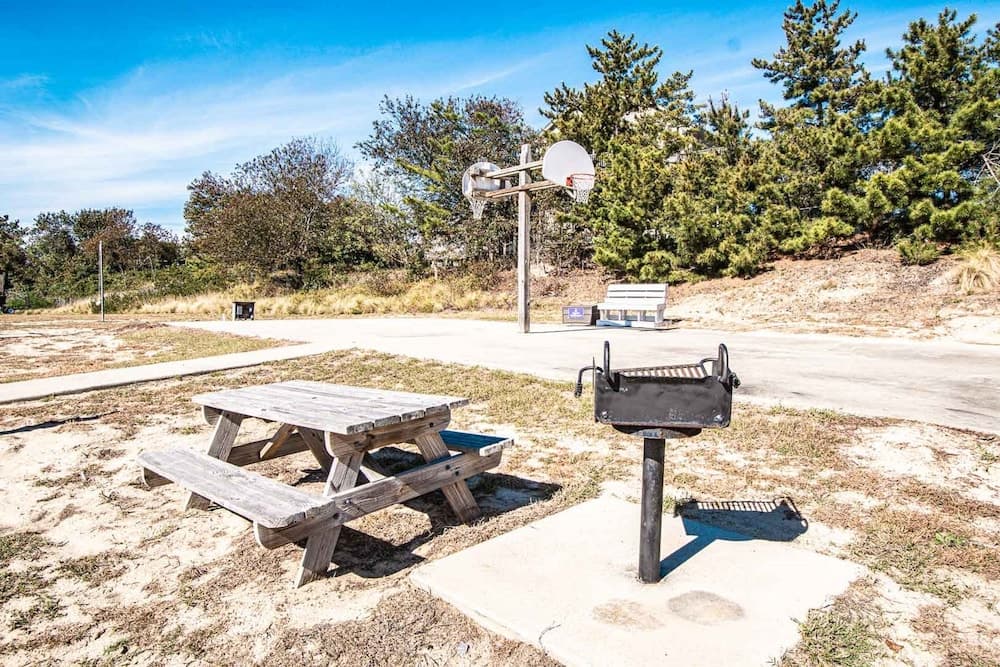 Barrier Island Station