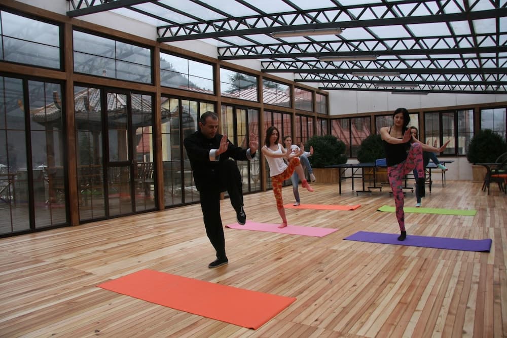 Borjomi Palace Health & Spa Center