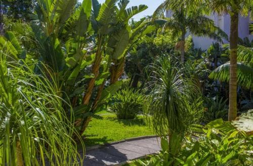 Dorisol Buganvilia Studio Hotel