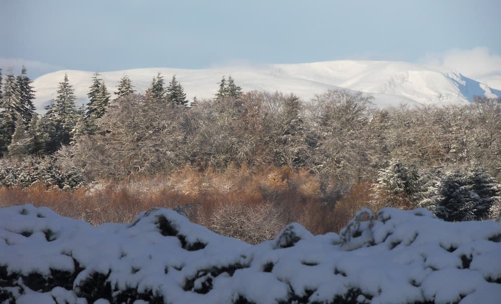 A serene winter landscape features snow-covered mountains, evergreen trees, and a stone wall in the foreground, ideal for nature photography and peaceful retreats.