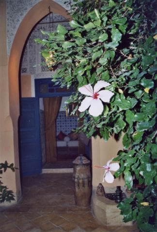 Riad El Filali