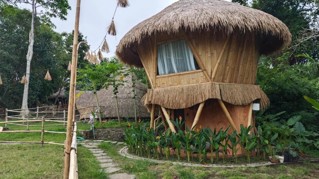 Alpaca Lodge