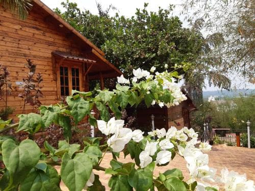Cozywoods Hill Resort