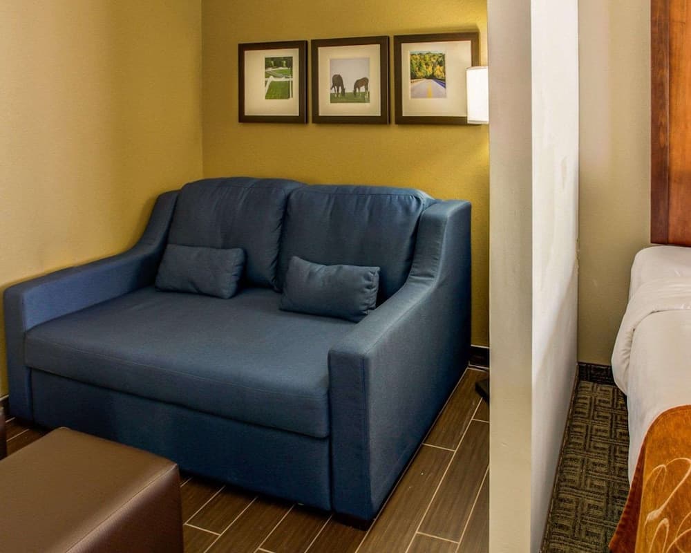 Comfort Suites Georgetown