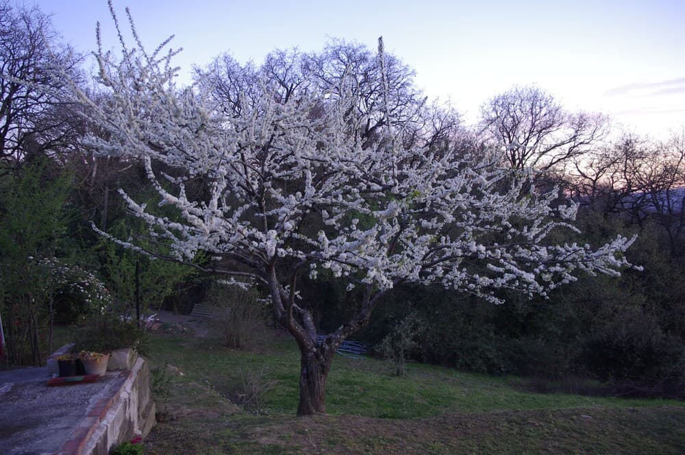 B&b Campogrande