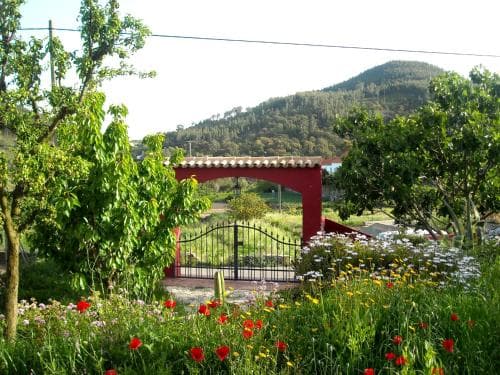 Spa d'Alma