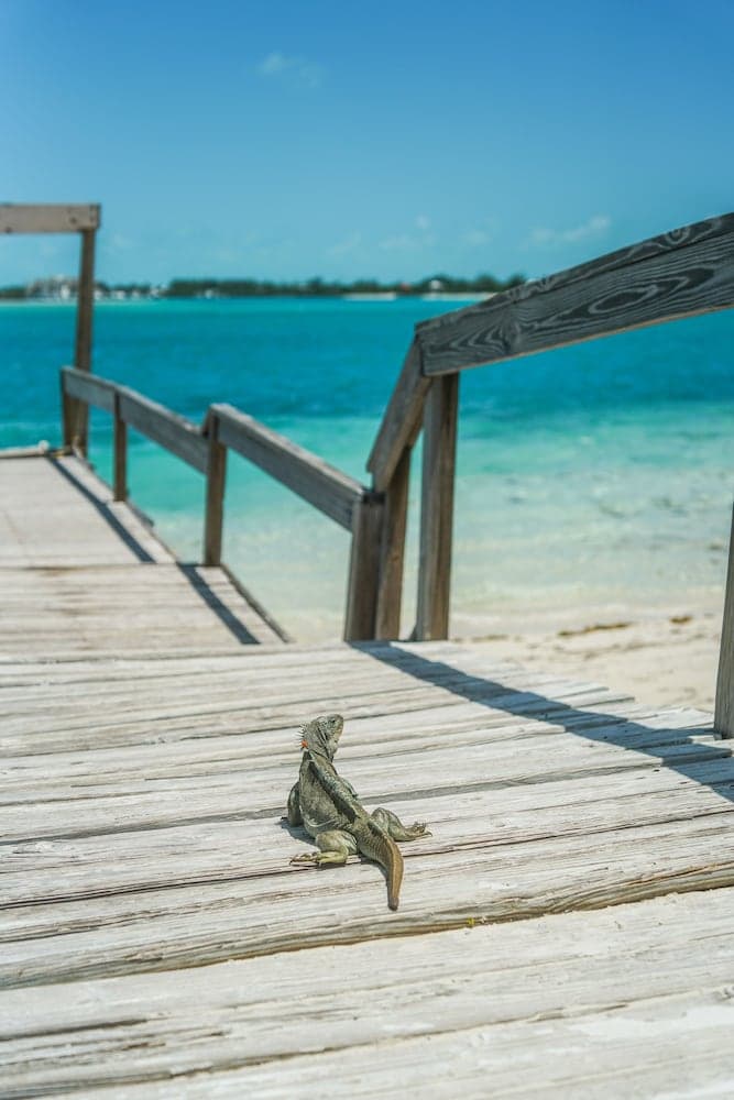 Pine Cay, Turks and Caicos