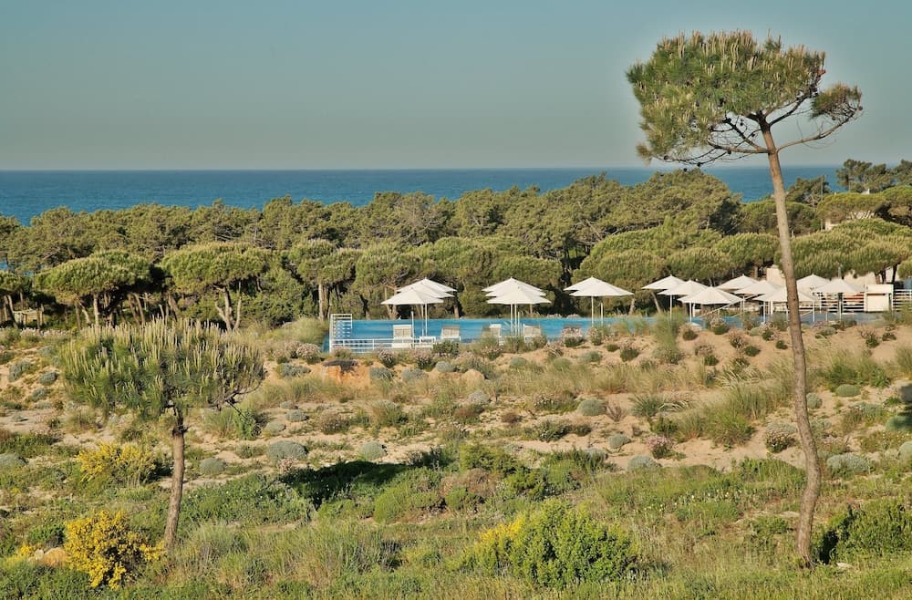The Oitavos