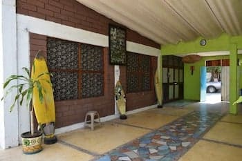 A cozy indoor surf lodge hallway features vibrant surfboards, tropical decor, and a welcoming atmosphere, ideal for travelers seeking a laid-back beach retreat experience.