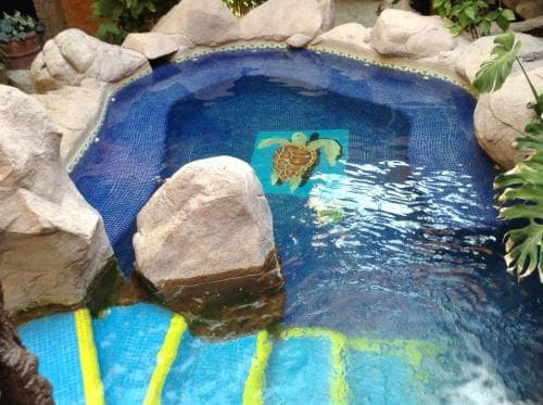 A serene backyard pool surrounded by natural rocks features a vibrant sea turtle mosaic, creating a tranquil oasis perfect for family relaxation and photography.