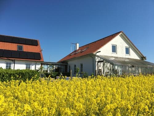 Margretelyst Bed And Breakfast