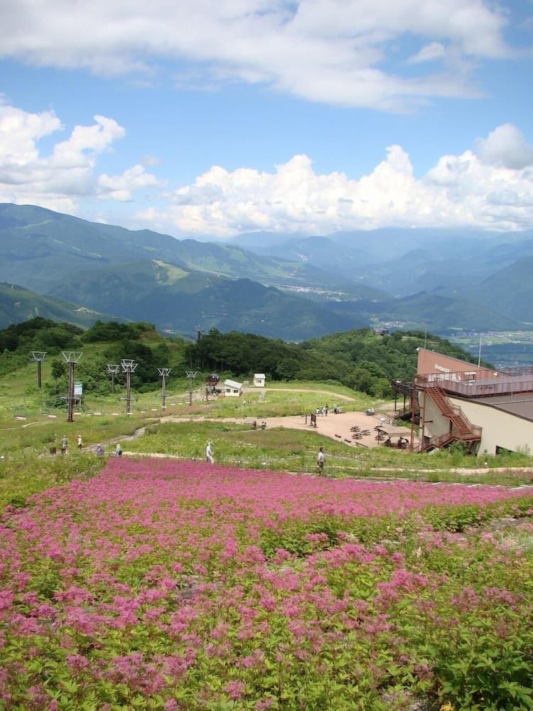 Maison de Sasagawa Hostel