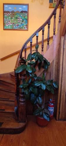 Hostal Dinamarca