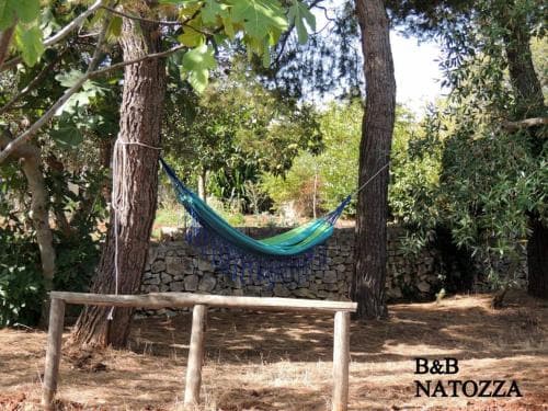 A serene outdoor retreat features a hammock nestled between trees in a lush garden, ideal for relaxing stays at a charming B&B.