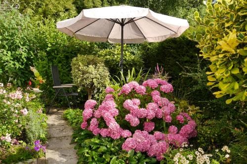 De Hamsche Kuul Bed And Breakfast