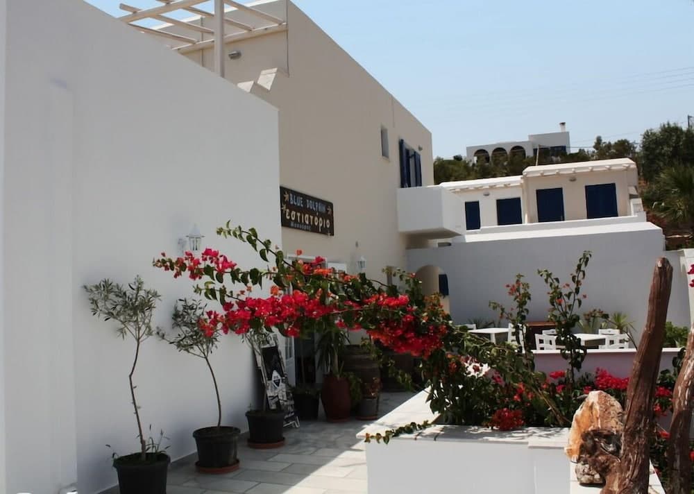 Paros Blue Dolphin