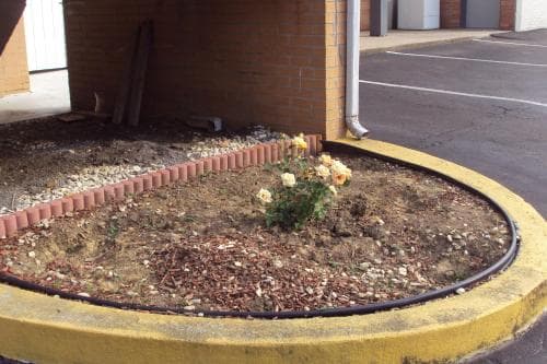 Executive Inn