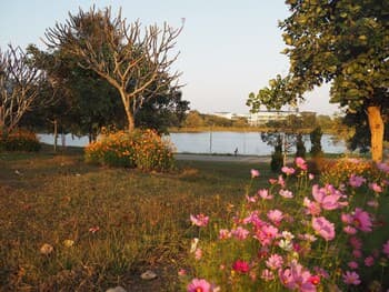 Doi Khum Place