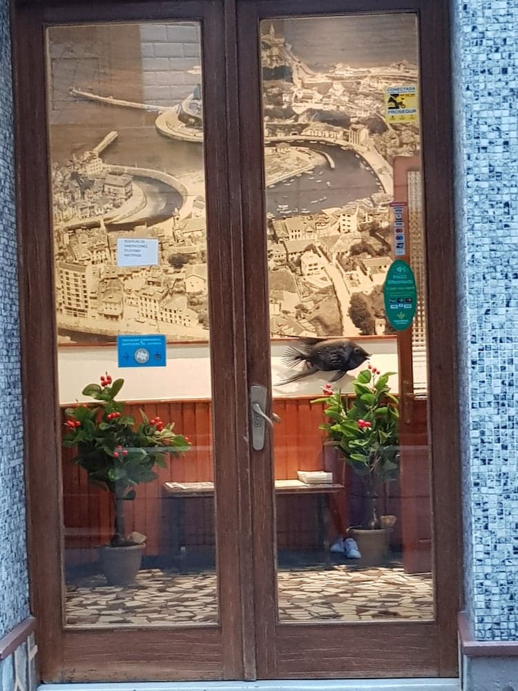Pensión Oria