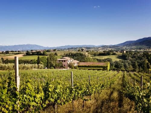 Casale Satriano