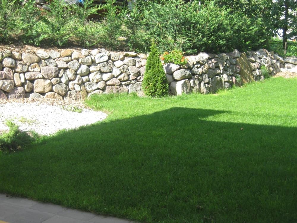 Agriturismo Pisani